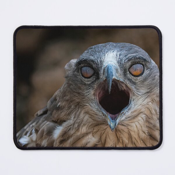 Item preview, Eyes of a Predatorr- eagle-raptor-hawks-wildlife-falcon-red tailed hawk designed and sold by Hermossa-Art.