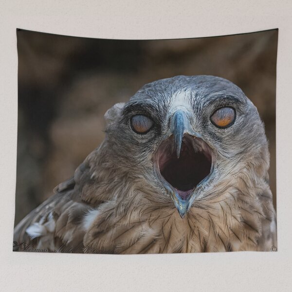 Item preview, Eyes of a Predatorr- eagle-raptor-hawks-wildlife-falcon-red tailed hawk designed and sold by Hermossa-Art.