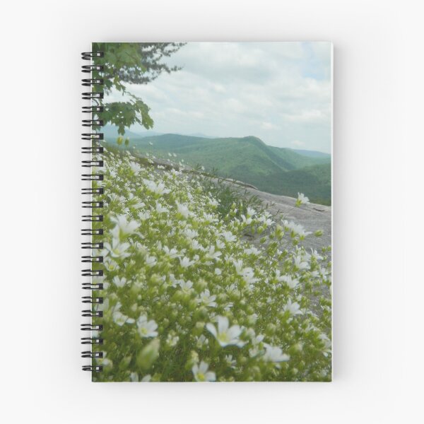 Item preview, Rock Sandwort In the Heights designed and sold by BethyBeeHerbs.