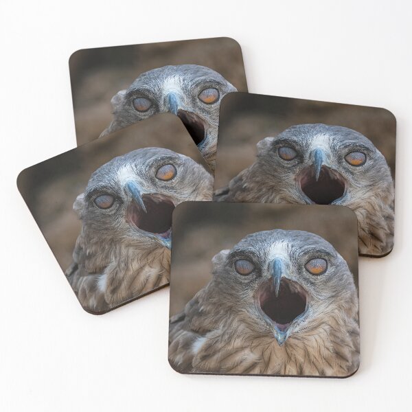 Item preview, Eyes of a Predatorr- eagle-raptor-hawks-wildlife-falcon-red tailed hawk designed and sold by Hermossa-Art.