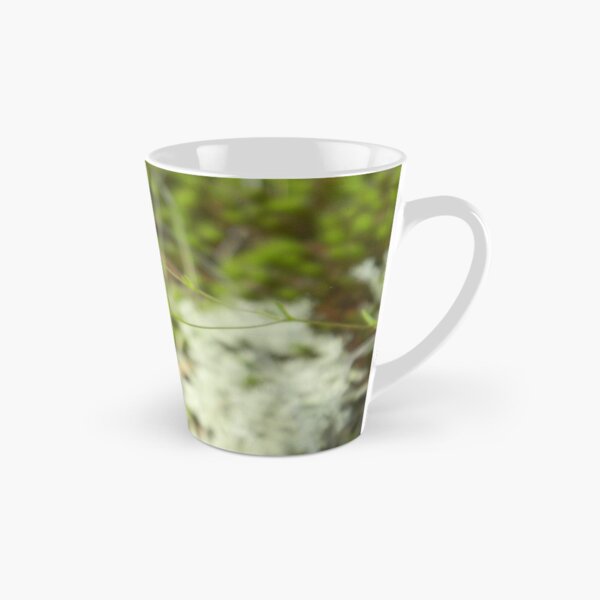 Artikelvorschau, Kleiner Käfer auf einer Blume entworfen und verkauft von BethyBeeHerbs.