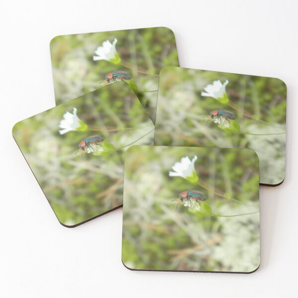 Artikelvorschau, Kleiner Käfer auf einer Blume entworfen und verkauft von BethyBeeHerbs.
