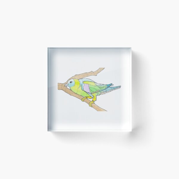 Item preview, Yellow-Footed Green Pigeon designed and sold by VonRavenDesign.