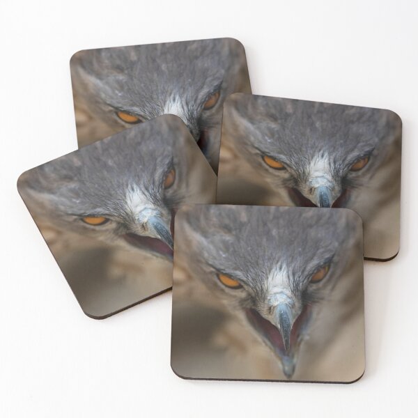 Item preview, LITLE DRAGON- eagle-raptor-hawks-wildlife-falcon-red tailed hawk designed and sold by Hermossa-Art.