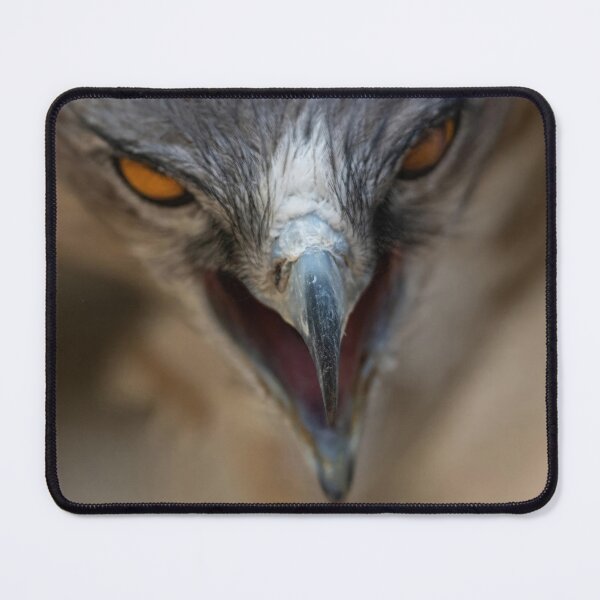 Item preview, LITLE DRAGON- eagle-raptor-hawks-wildlife-falcon-red tailed hawk designed and sold by Hermossa-Art.