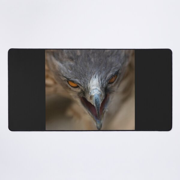 Item preview, LITLE DRAGON- eagle-raptor-hawks-wildlife-falcon-red tailed hawk designed and sold by Hermossa-Art.