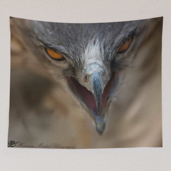 Item preview, LITLE DRAGON- eagle-raptor-hawks-wildlife-falcon-red tailed hawk designed and sold by Hermossa-Art.