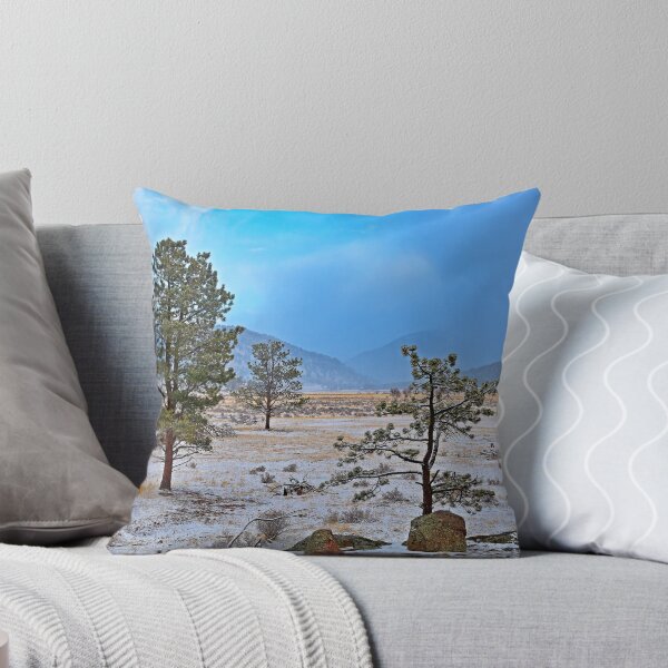 Aperçu de l'œuvre Étude d'hiver du RMNP 3 créée et vendue par Robert Meyers-Lussier.