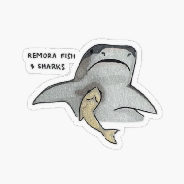 Remora Fish & Shark (with label)