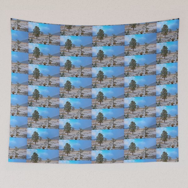 Item preview, RMNP Winter Study 3  designed and sold by Robert Meyers-Lussier.