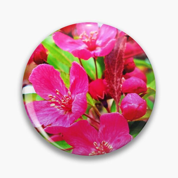 Item preview, Gorgeous Red Barron Crabapple Photo designed and sold by Health And Fitness Posts e-Store.