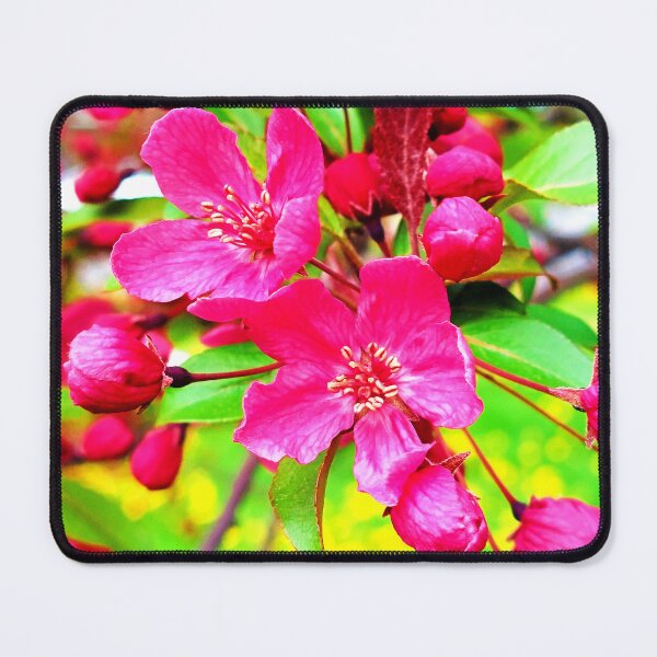 Item preview, Gorgeous Red Barron Crabapple Photo designed and sold by Health And Fitness Posts e-Store.