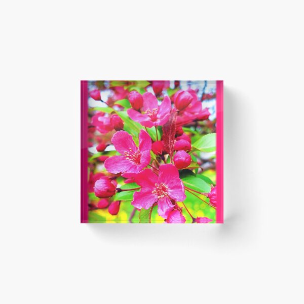 Item preview, Gorgeous Red Barron Crabapple Photo designed and sold by Health And Fitness Posts e-Store.