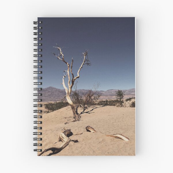 Artikelvorschau, Death Valley '18 entworfen und verkauft von marymeinberg.