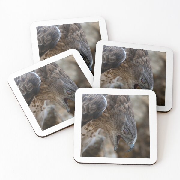 Item preview, PREDATOR BY NATURE- eagle-raptor-hawks-wildlife-falcon-red tailed hawk designed and sold by Hermossa-Art.