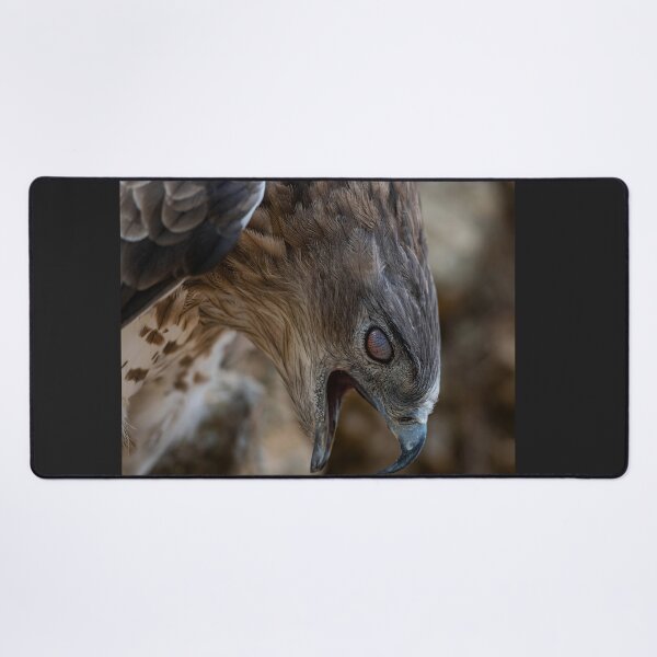 Item preview, PREDATOR BY NATURE- eagle-raptor-hawks-wildlife-falcon-red tailed hawk designed and sold by Hermossa-Art.