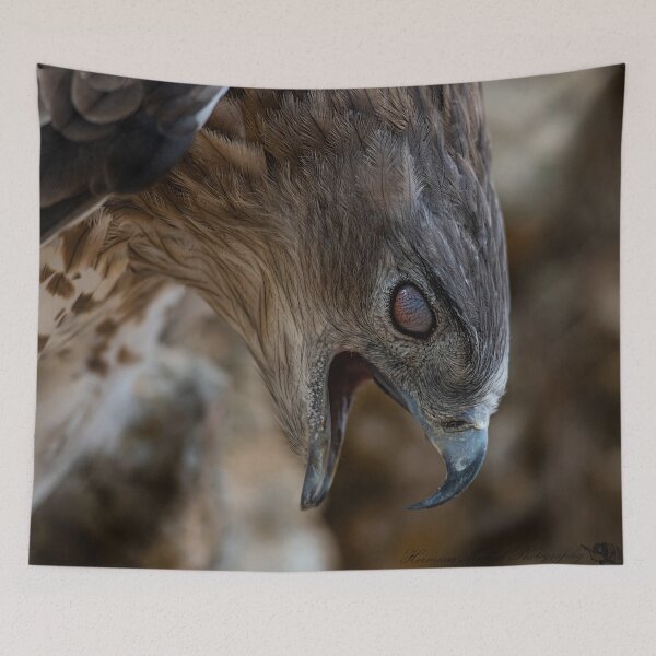 Item preview, PREDATOR BY NATURE- eagle-raptor-hawks-wildlife-falcon-red tailed hawk designed and sold by Hermossa-Art.