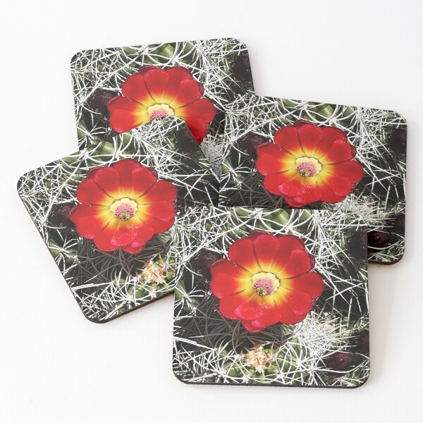 Item preview, Cactus flower designed and sold by roadwarriorart.