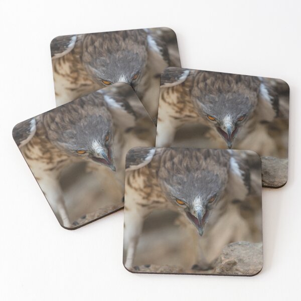 Item preview, Dragon Hawk- eagle-raptor-hawks-wildlife-falcon-red tailed hawk designed and sold by Hermossa-Art.