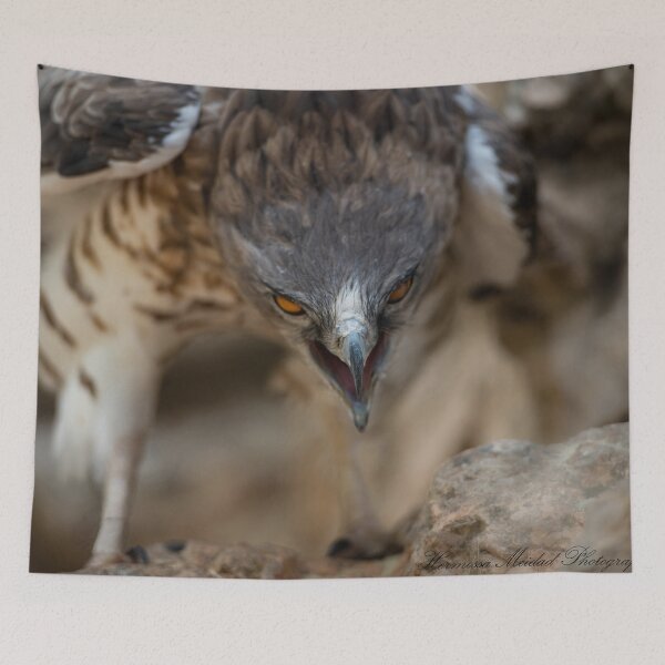 Item preview, Dragon Hawk- eagle-raptor-hawks-wildlife-falcon-red tailed hawk designed and sold by Hermossa-Art.