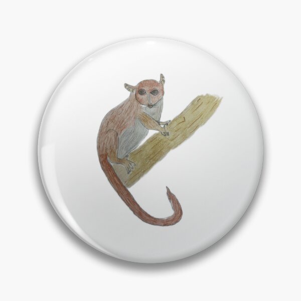Item preview, Hanging Around - Sportive Lemur designed and sold by Abbie Heimowitz.