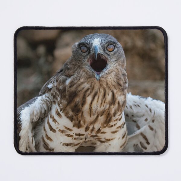 Item preview, the spuki Hawk- eagle-raptor-hawks-wildlife-falcon-red tailed hawk designed and sold by Hermossa-Art.