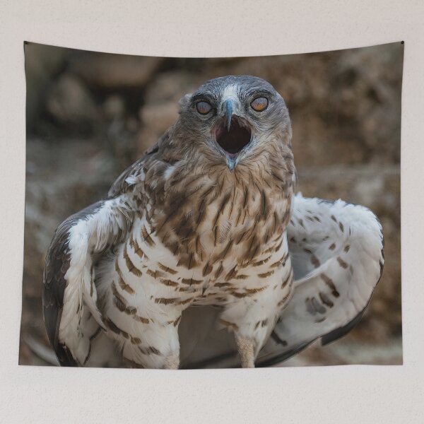 Item preview, the spuki Hawk- eagle-raptor-hawks-wildlife-falcon-red tailed hawk designed and sold by Hermossa-Art.