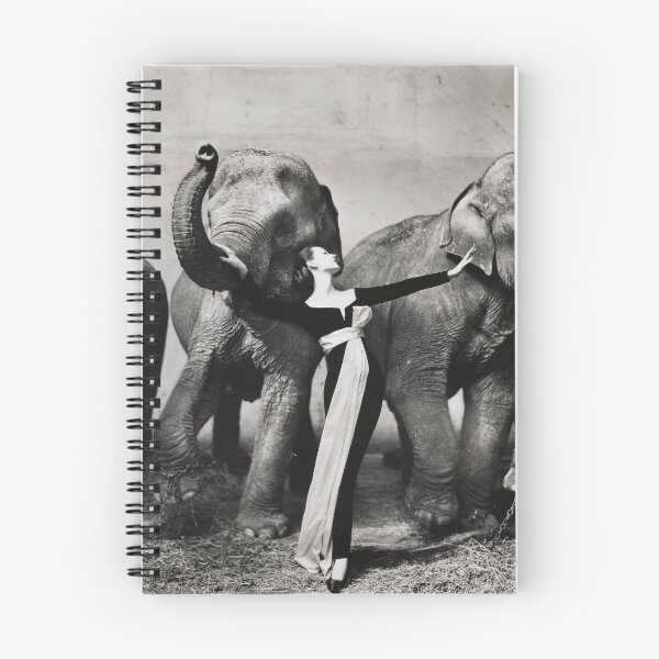Item preview, Dovima with elephants, 1955 - RICHARD AVEDON - Fashion Photography designed and sold by HoneymoonHotel.