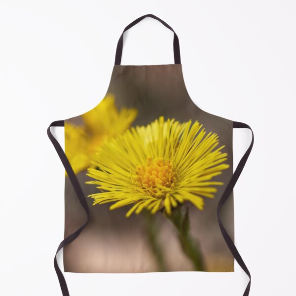 Item preview, Springtime yellows. Coltsfoot designed and sold by Jouko Lehto Photography.