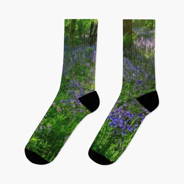 Item preview, Evening Light in the Durham Bluebell Wood designed and sold by Martyn R Arnold Fine Art Nature & Landscape Photography.