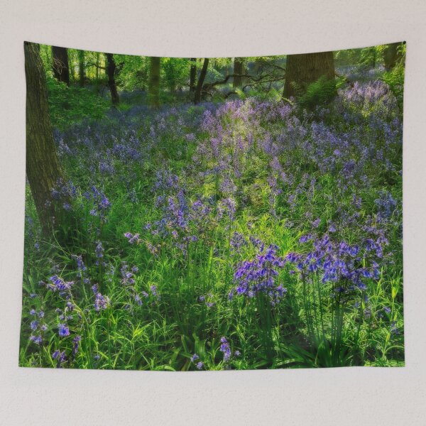 Item preview, Evening Light in the Durham Bluebell Wood designed and sold by Martyn R Arnold Fine Art Nature & Landscape Photography.