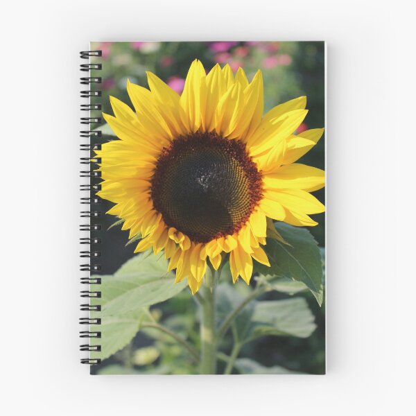 Item preview, Bright and Cheery  designed and sold by TomikoKH19.