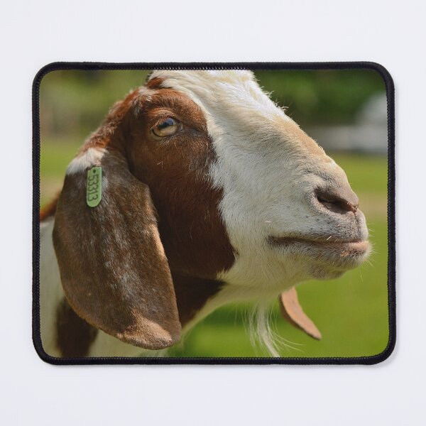 Item preview, Goat designed and sold by Vanja Rosenthal.