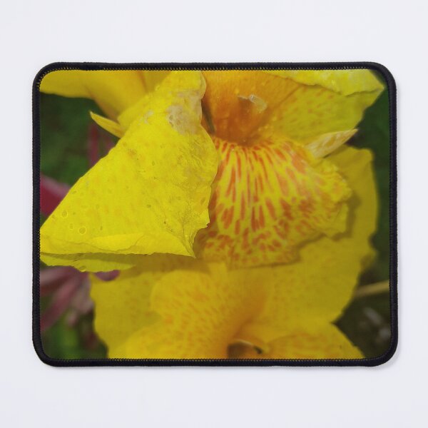 Item preview, Lovely  designed and sold by Tiannalaw.