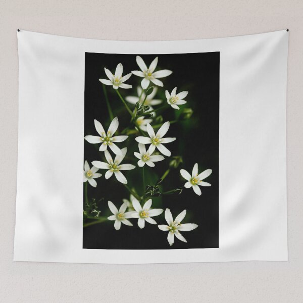 Item preview, White flowers on black background designed and sold by olena2552.