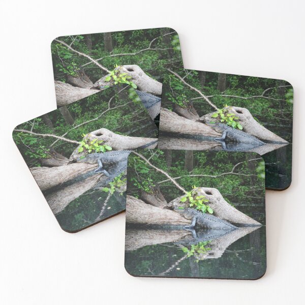 Item preview, Alligator Cradled In Nature designed and sold by Cynthia48.