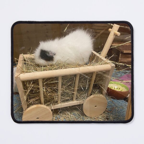 Item preview, Shushu the guinea pig in the hay cart designed and sold by AlpacaSparkles.