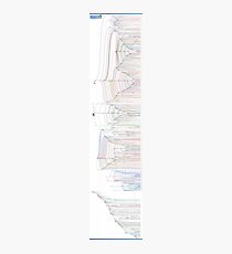 GNU/Linux Timeline Photographic Print