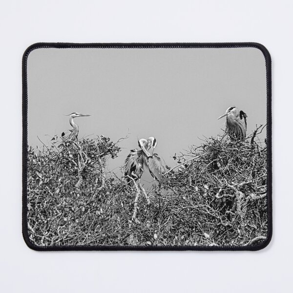 Item preview, Bent Oaks Rookery Rockport Texas designed and sold by Debra Martz.