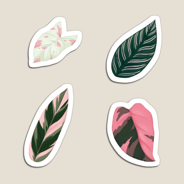 Item preview, Pink Plants designed and sold by Taniuki.