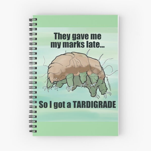 Item preview, I got a tardigrade designed and sold by Raymond Nakamura.