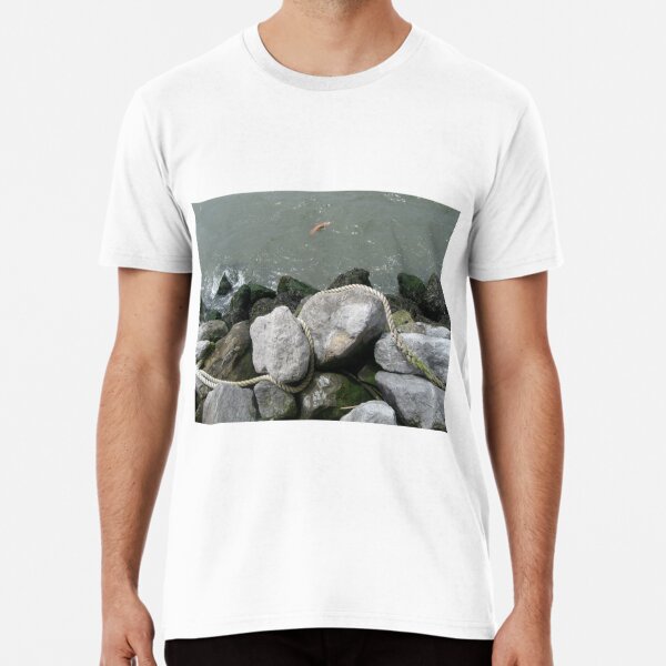 Shore line, Water,  large stones,  rocks, thick rope, Solar flares, play Premium T-Shirt