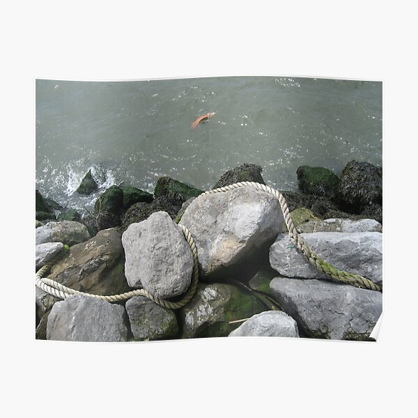 Shore line, Water,  large stones,  rocks, thick rope, Solar flares, play Poster