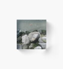 Shore line, Water,  large stones,  rocks, thick rope, Solar flares, play Acrylic Block