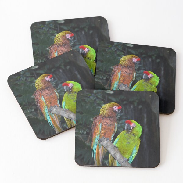 Item preview, PARROTS designed and sold by Savannah Gibbs.