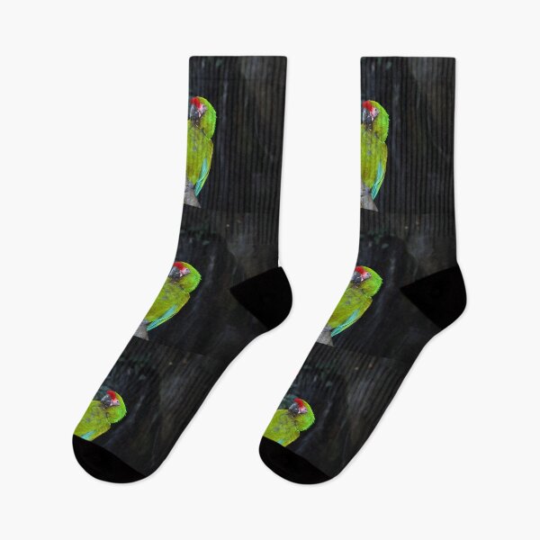 Item preview, PARROTS designed and sold by Savannah Gibbs.