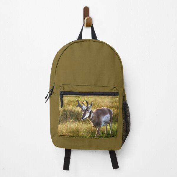 Item preview, Pronghorn at the National Bison Range, Montana designed and sold by Kathy Weaver.
