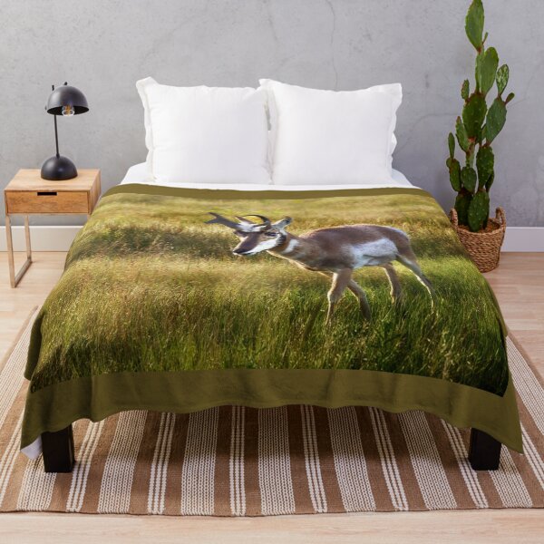 Item preview, Pronghorn at the National Bison Range, Montana designed and sold by Kathy Weaver.