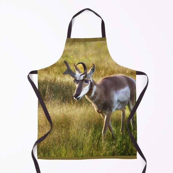Item preview, Pronghorn at the National Bison Range, Montana designed and sold by Kathy Weaver.