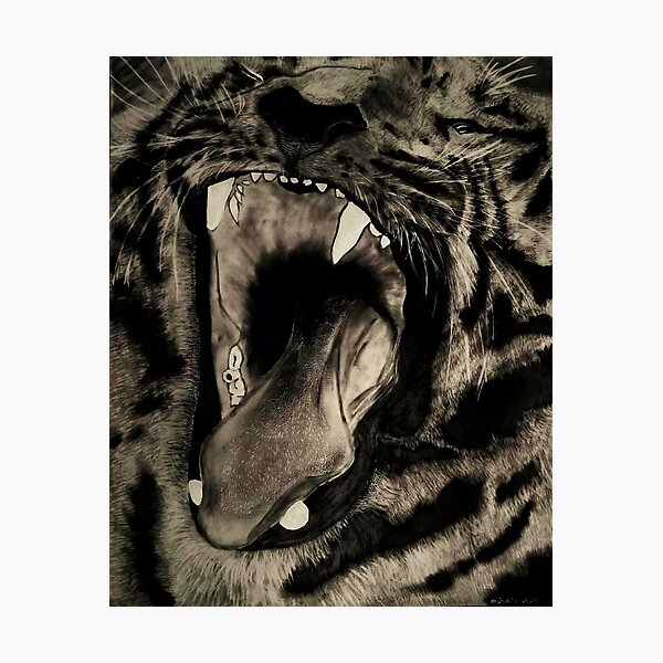 Tiger Photographic Print